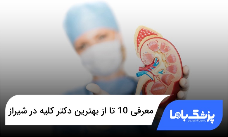 بهترین دکتر کلیه در شیراز