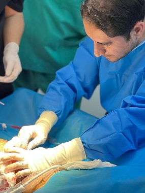 doctor picture