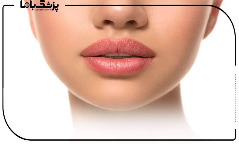 انواع روشهای سانترال لب