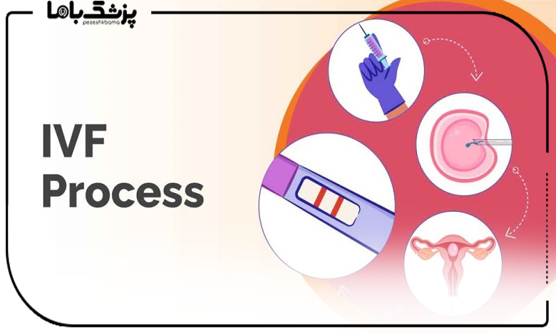 بهترین دکتر آی وی اف در شیراز