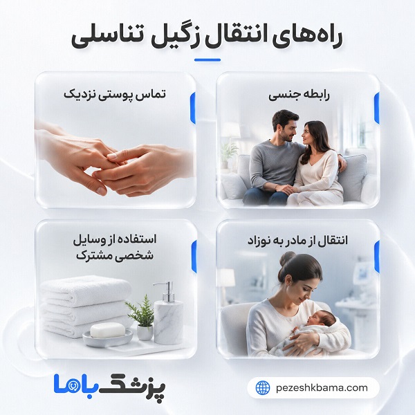 راههای انتقال زگیل تناسلی